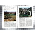 (8250) Goathland Yorkshire - 1990s Article