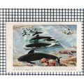 (7893) Blackfish Pilot Whales - 1940 Cutting