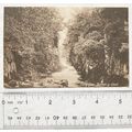 vintage postcard Betws y Coed, Fairy glen