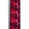 ALICE COOPER. Pk MTP - a019S . 1 STRIP OF 5 - 3...