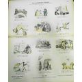 1890 Naturgeschichtliches Alphabet - Münchener ...