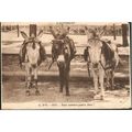 Vintage France Postcard - Nous sommes quatre an...