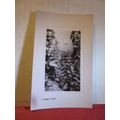 A RUGGED PATH unused antique postcard by Davids...