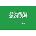 NEW Saudi Arabia NYL-GLO 3' x 5' Quality Nylon ...