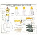 House Lights Electric Bulbs Old French School W...
