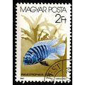 Hungary 1987 Fish 2ft Used Stamp
