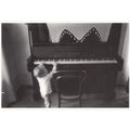Tiny Baby Child Playing Giant Piano Photo Postcard