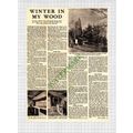 John Cashel Forester's Cabin - 1949 Cutting