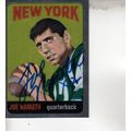 JOE NAMATH 1996 AUTOGRAPHED NEW YORK JETS HOF S...