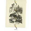 Striped Hyenas & Jackals, Book Illustration (Pr...