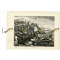 Sea Lions, Book Illustration (Print), 1884
