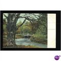 Hampshire QUEENWOOD BOWER Postcard by F.G.O.Stu...