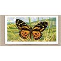 1964 Brooke Bond BUTTERFLIES OF THE WORLD Tea c...