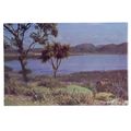 INVEREWE GARDENS, POOLEWE vintage postcard unus...