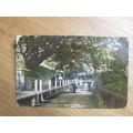 1910 Dainty Series Postcard -Goat cart @ Chine ...