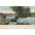Eagle Pond Snaresborough Yorkshire Real Glitter...