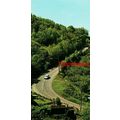 Porlock Hill, Somerset, Plastichrome Colourpict...