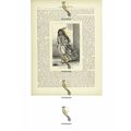 Belle Of The Guajiro Village, Maracaibo, Book I...