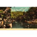 River, Matlock Bath, Derbyshire, DVP 804 Postcard