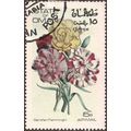 OMAN, FLOWER, Garofani Fiamminghi, light green 1972, 15b