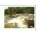 Yorkshire RICHMOND River Swale Postcard by Pedl...