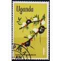 Uganda. 1969 1s S.G.140 Used