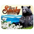 The Great Smoky Mountains Fridge Magnet with St...
