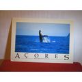 HUMPBACK WHALE, ACORES, PORTUGAL used postcard ...