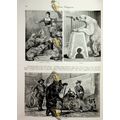Performing Animals (2), Sad Victorian Social Hi...
