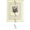 Soldier Of The Caucasus, Book Illustration (Pri...