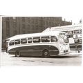Black & White Photograph of Ribble Motor Servic...