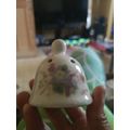 Small Pomander bell Robinson