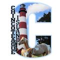 Chincoteague Island with Lighthouse and Horses ...