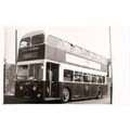Black & White Photograph of Sunderland & Distri...