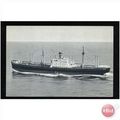Holland-America Line SS ALMDYK Postcard