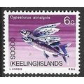 1969 SG 13 - MLH (*) - FISH