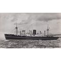 SS Coromandel Cruise Ship Plain Back Postcard