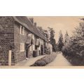 The Avenue Flore Northamptonshire Postcard