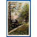Postcard Long Halves Lane Freshwater IOW Isle O...