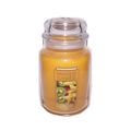 Yankee Candle Tropical Starfruit Large Jar Cand...