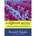 A Different Mirror For Young People