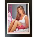 Portfolio '92 International Swimsuit Base tradi...