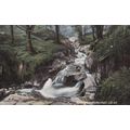 EC962 BALLAGLAS WATERFALL. PRINTED POSTCARD