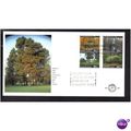 1999 NETHERLANDS "PARKS DURING THE SEASONS" FDC