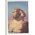 7200 Egypt THE SPHINX Tuck Oilette Postcard