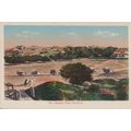 Neemuch General View Indian Old Postcard
