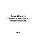 St. Hilaire K. Elephants and Rhinos. Cetaceans. In Russian /Sent-Iler K. Slony