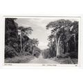 Kampala Road Jinja Uganda Postcard RP East Africa