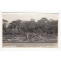 The Scroll Garden Victoria Park London RP Postcard
