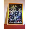 FLOWERS FROM AMSTERDAM ... Cannabis drugs unuse...